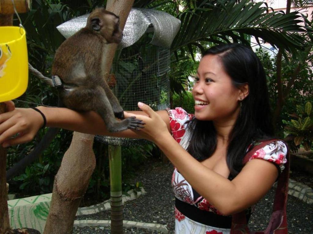 Alta Cebu Resort Bagian luar foto