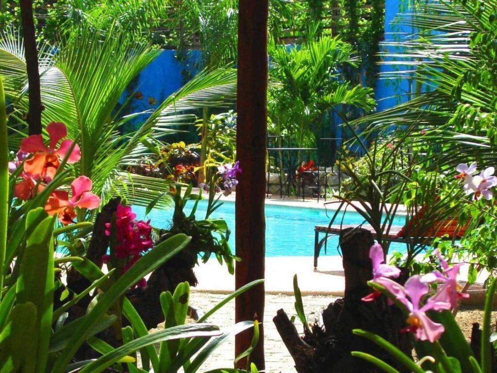Alta Cebu Resort Bagian luar foto